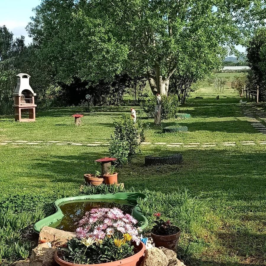 ואדה Agriturismo Il Cipresso מראה חיצוני תמונה