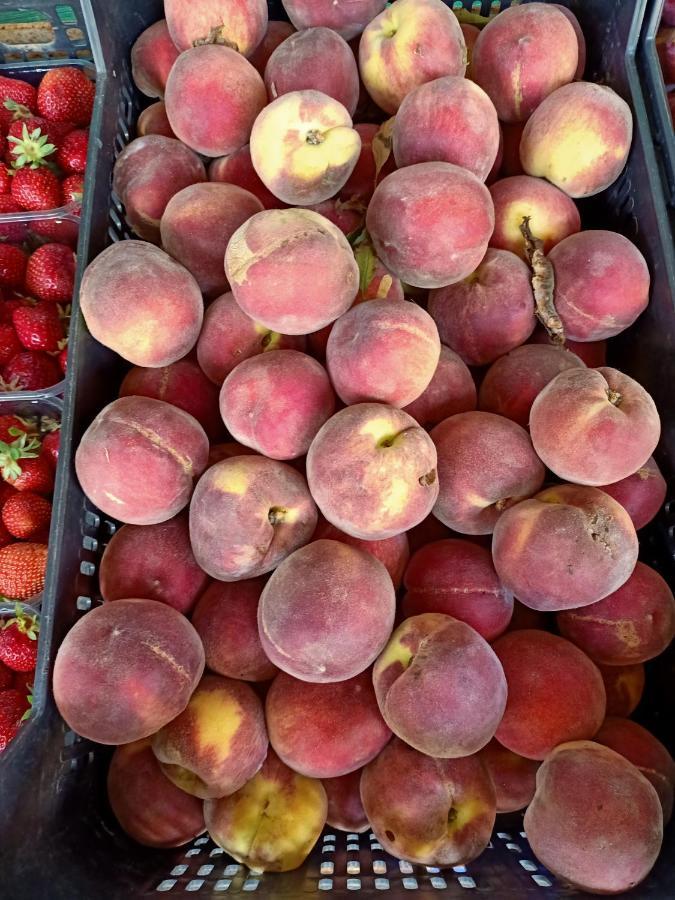 ואדה Agriturismo Il Cipresso מראה חיצוני תמונה