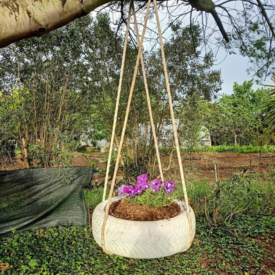 ואדה Agriturismo Il Cipresso מראה חיצוני תמונה