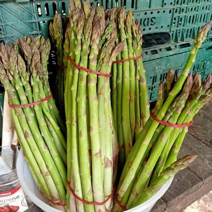 ואדה Agriturismo Il Cipresso מראה חיצוני תמונה