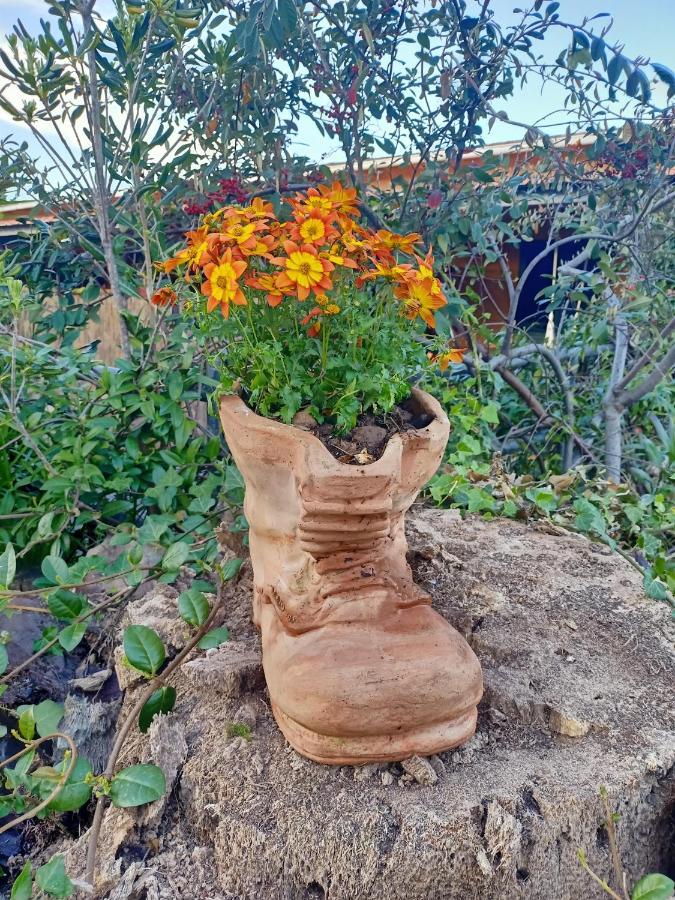 ואדה Agriturismo Il Cipresso מראה חיצוני תמונה