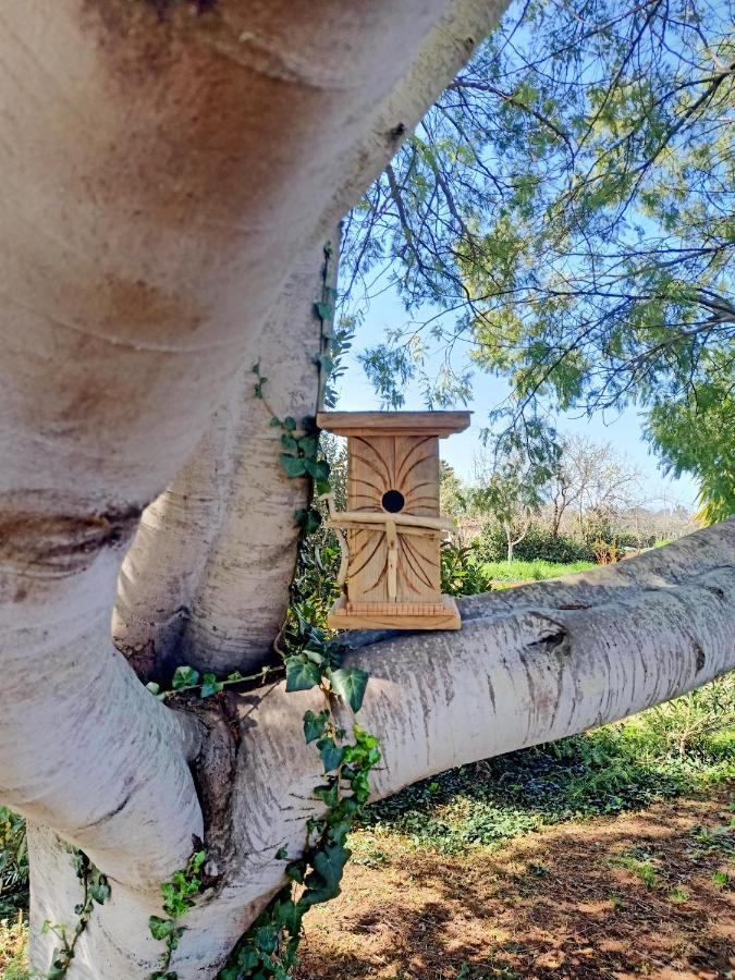 ואדה Agriturismo Il Cipresso מראה חיצוני תמונה
