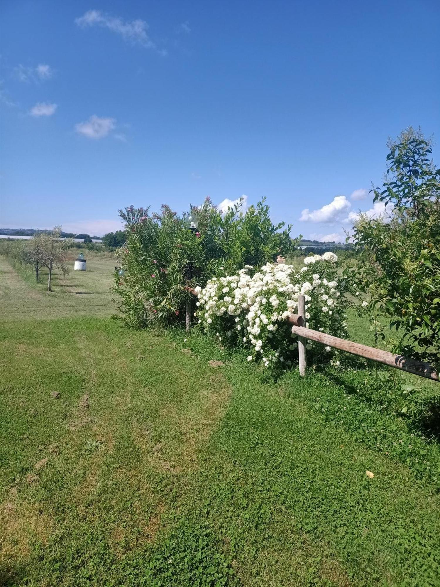 ואדה Agriturismo Il Cipresso מראה חיצוני תמונה