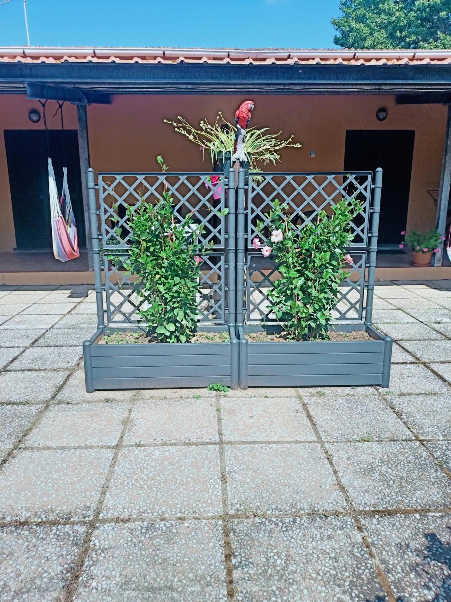 ואדה Agriturismo Il Cipresso מראה חיצוני תמונה