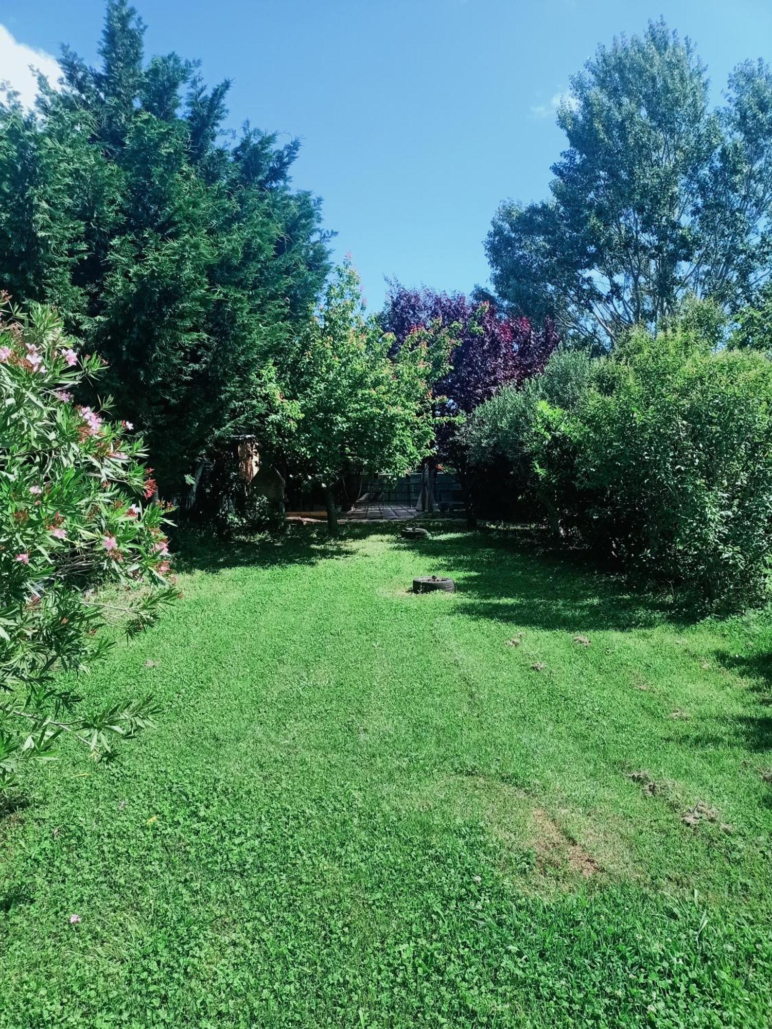 ואדה Agriturismo Il Cipresso מראה חיצוני תמונה