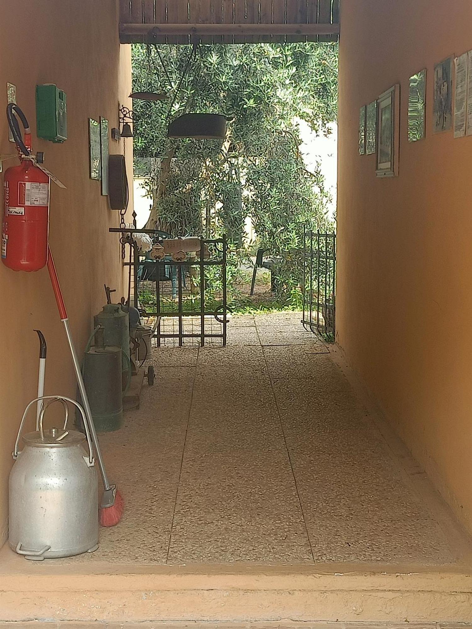 ואדה Agriturismo Il Cipresso מראה חיצוני תמונה
