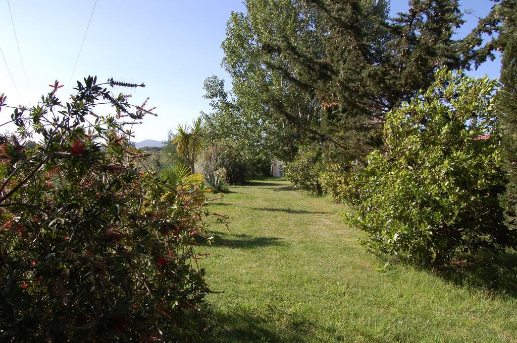 ואדה Agriturismo Il Cipresso מראה חיצוני תמונה